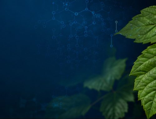 A Breakthrough in Allergy Treatment: The Science Behind BOME Pharma’s Poison Ivy Vaccine